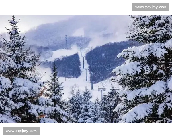 吉林新雪季蓄力：雪场提质，粉雪迎客